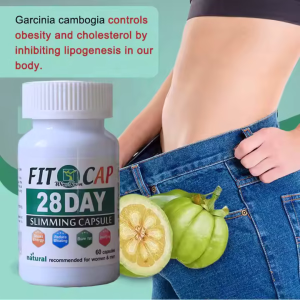 28day Fit Capsules Herbal Supplements - Image 4